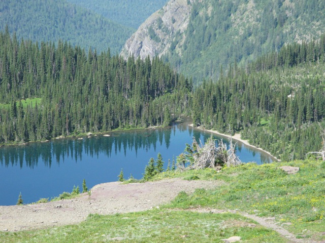 Grizzly Bear in Hidden Lake